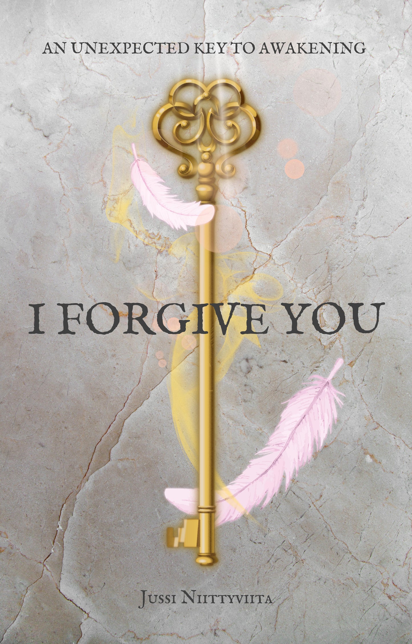 I Forgive You: An Unexpected Key to Awakening book cover